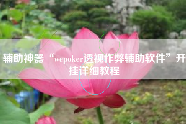 辅助神器“wepoker透视作弊辅助软件”开挂详细教程