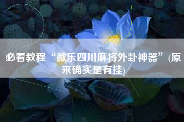 必看教程“微乐四川麻将外卦神器”(原来确实是有挂)