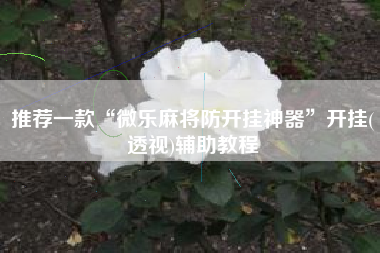 推荐一款“微乐麻将防开挂神器”开挂(透视)辅助教程