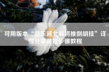 可用版本“微乐河北麻将推倒胡挂”详细分享装挂步骤教程