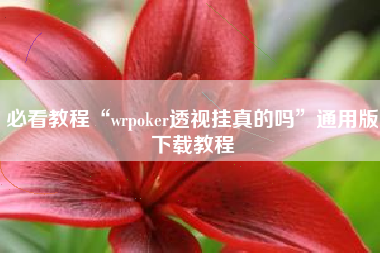 必看教程“wrpoker透视挂真的吗”通用版下载教程