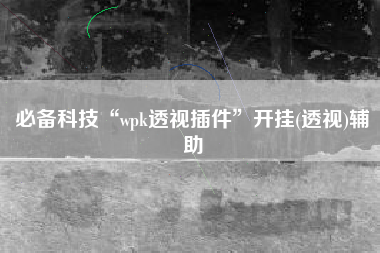 必备科技“wpk透视插件”开挂(透视)辅助