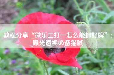 教程分享“微乐三打一怎么能抓好牌	”(曝光透视必备猫腻