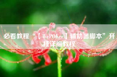 必看教程“【WePOKer】辅助器脚本”开挂详细教程