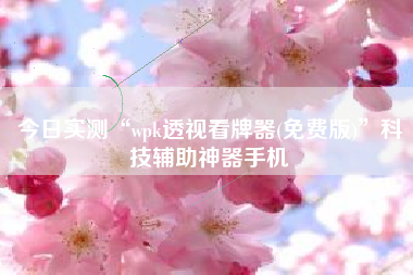 今日实测“wpk透视看牌器(免费版)	”科技辅助神器手机