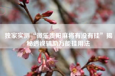 独家实测“微乐贵阳麻将有没有挂”揭秘透视辅助万能挂用法