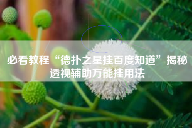 必看教程“德扑之星挂百度知道”揭秘透视辅助万能挂用法