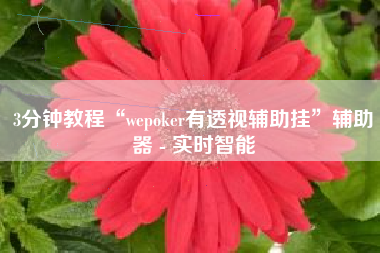 3分钟教程“wepoker有透视辅助挂”辅助器 - 实时智能