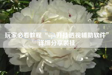 玩家必看教程“wpk开挂透视辅助软件”详细分享装挂