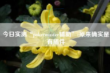 今日实测“pokermaster辅助”(原来确实是有插件