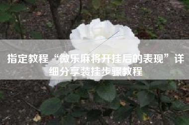 指定教程“微乐麻将开挂后的表现”详细分享装挂步骤教程