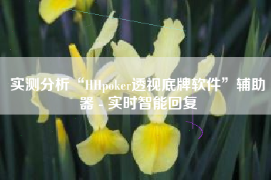 实测分析“HHpoker透视底牌软件”辅助器 - 实时智能回复