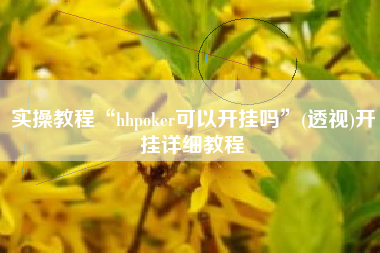 实操教程“hhpoker可以开挂吗”(透视)开挂详细教程