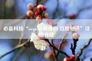 必备科技“wepoker有挂吗 百度知道”详细开挂