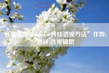 分享实测“aapoker开挂透视方法”作弊(透视)透视辅助