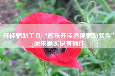 开挂辅助工具“微乐开挂透视辅助软件	”(原来确实是有插件