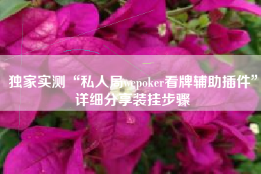 独家实测“私人局wepoker看牌辅助插件	”详细分享装挂步骤