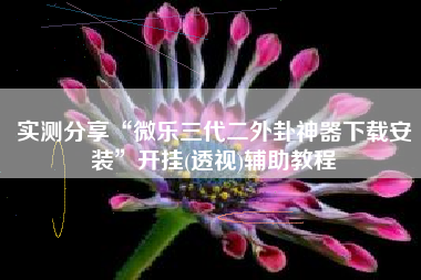 实测分享“微乐三代二外卦神器下载安装	”开挂(透视)辅助教程