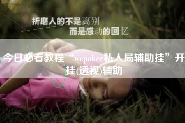 今日必看教程“wepoker私人局辅助挂	”开挂(透视)辅助