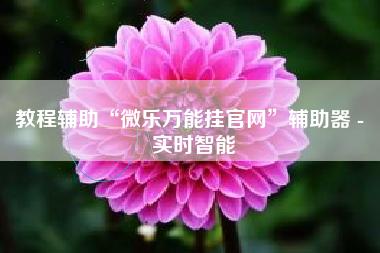 教程辅助“微乐万能挂官网	”辅助器 - 实时智能