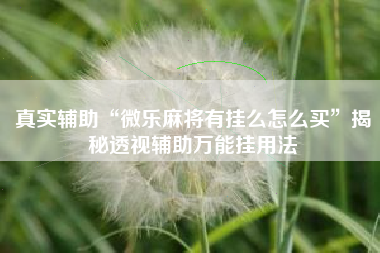 真实辅助“微乐麻将有挂么怎么买”揭秘透视辅助万能挂用法