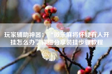 玩家辅助神器：“微乐麻将怀疑有人开挂怎么办”详细分享装挂步骤教程