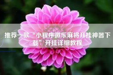 推荐一款“小程序微乐麻将开挂神器下载”开挂详细教程