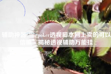 辅助神器“wepoker透视脚本网上卖的可以信嘛	”揭秘透视辅助万能挂