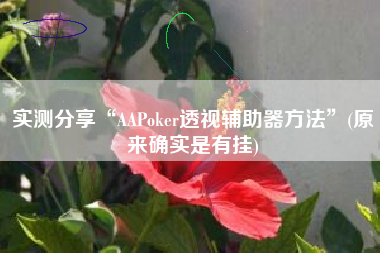 实测分享“AAPoker透视辅助器方法”(原来确实是有挂)