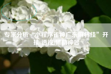 专家分析“小程序雀神广东麻将挂”开挂(透视)辅助神器