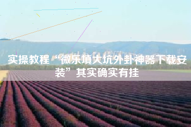 实操教程“微乐填大坑外卦神器下载安装”其实确实有挂