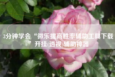 3分钟学会“微乐提高胜率辅助工具下载”开挂(透视)辅助神器