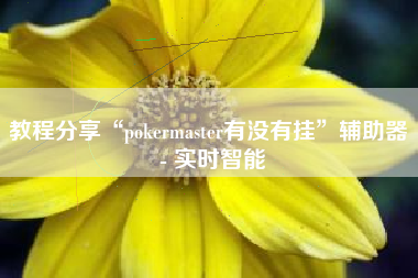 教程分享“pokermaster有没有挂”辅助器 - 实时智能