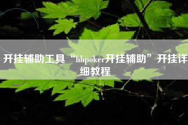 开挂辅助工具“hhpoker开挂辅助”开挂详细教程