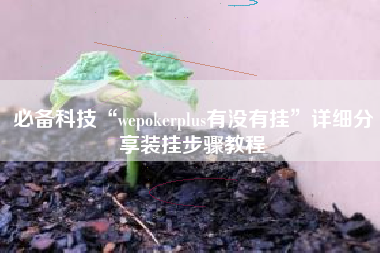 必备科技“wepokerplus有没有挂	”详细分享装挂步骤教程
