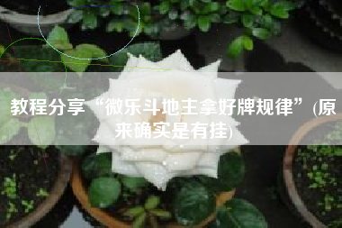 教程分享“微乐斗地主拿好牌规律	”(原来确实是有挂)