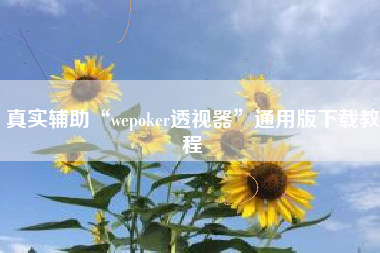 真实辅助“wepoker透视器”通用版下载教程