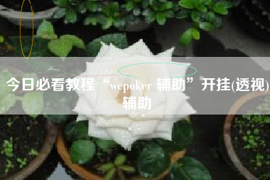 今日必看教程“wepoker 辅助	”开挂(透视)辅助