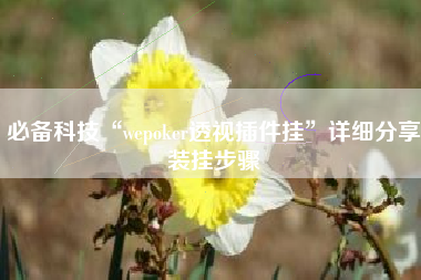 必备科技“wepoker透视插件挂”详细分享装挂步骤