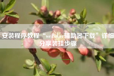 安装程序教程“wePoker辅助器下载”详细分享装挂步骤