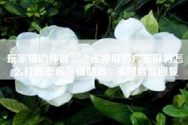 玩家辅助神器：“雀神麻将广东麻将怎么打胜率高”辅助器 - 实时智能回复