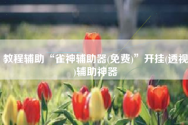 教程辅助“雀神辅助器(免费)”开挂(透视)辅助神器