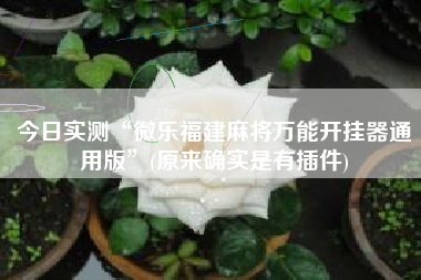 今日实测“微乐福建麻将万能开挂器通用版”(原来确实是有插件)