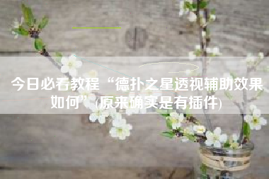 今日必看教程“德扑之星透视辅助效果如何”(原来确实是有插件)