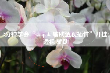 3分钟学会“waapoke辅助透视插件”开挂(透视)辅助