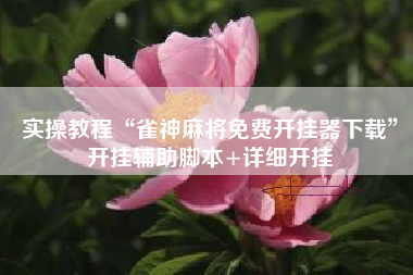 实操教程“雀神麻将免费开挂器下载”开挂辅助脚本+详细开挂