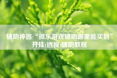 辅助神器“微乐游戏辅助哪里能买到”开挂(透视)辅助教程