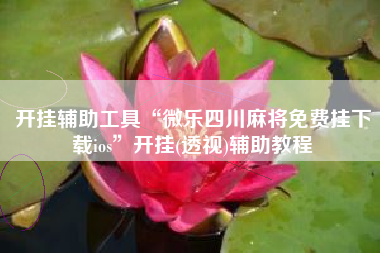 开挂辅助工具“微乐四川麻将免费挂下载ios”开挂(透视)辅助教程