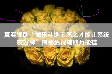 真实辅助“微乐斗地主怎么才能让系统发好牌”揭秘透视辅助万能挂