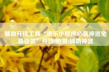 辅助开挂工具“微乐小程序必赢神器免费安装	”开挂(透视)辅助神器